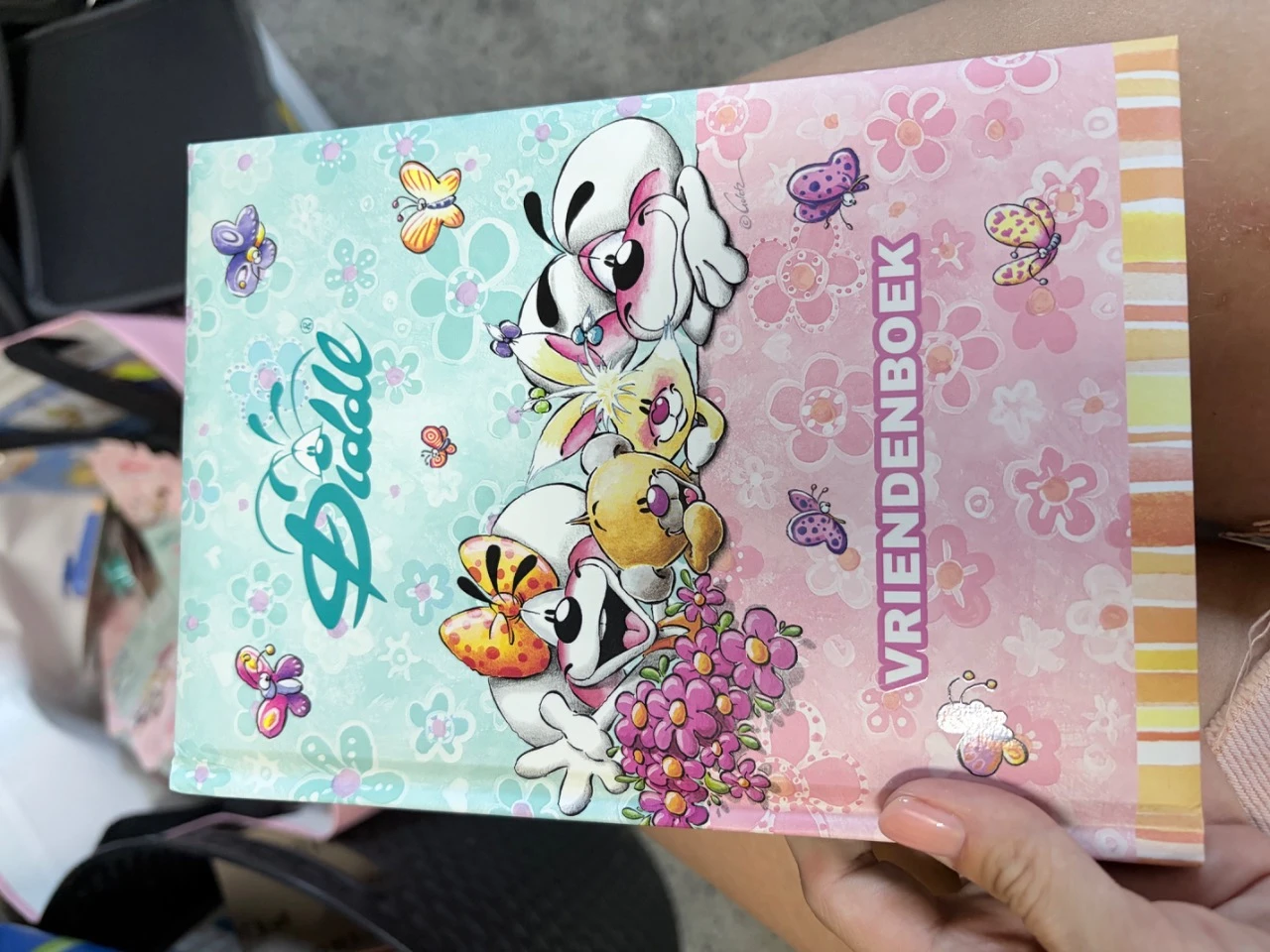 Vriendenboek diddl is back